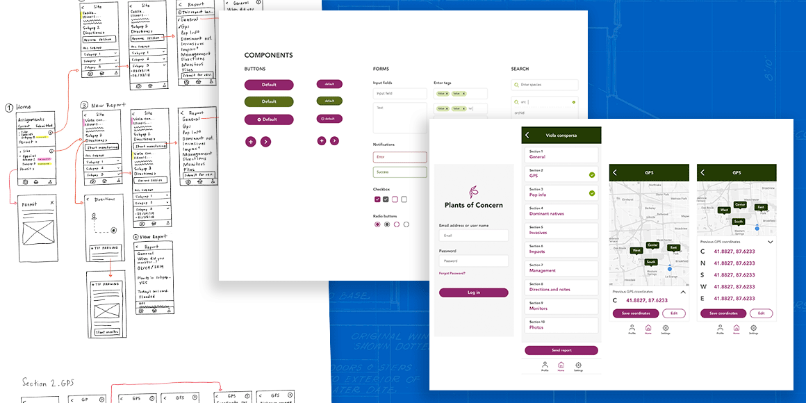 Three images of various stages of a design process; wireframes, a design system, and app mockups